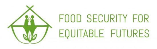 https://wp.lancs.ac.uk/foodequity/