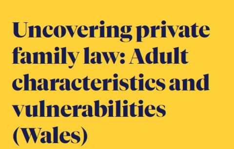 New report: Uncovering private family law: adult characteristics and vulnerabilities (Wales)