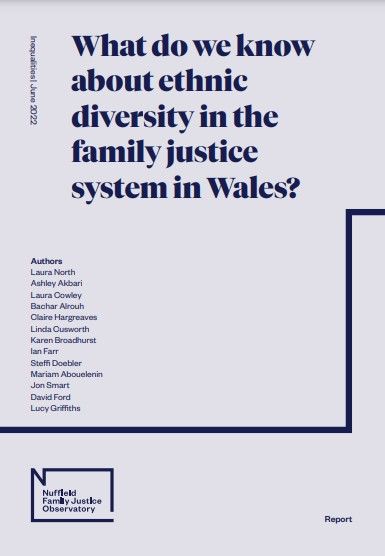 What do we know about ethnic diversity in the family justice system in Wales?